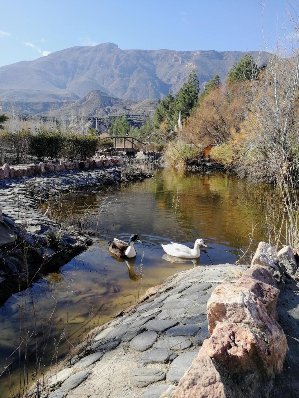 Sol I Daria Alpujarra Hotel Bentarique Zewnętrze zdjęcie